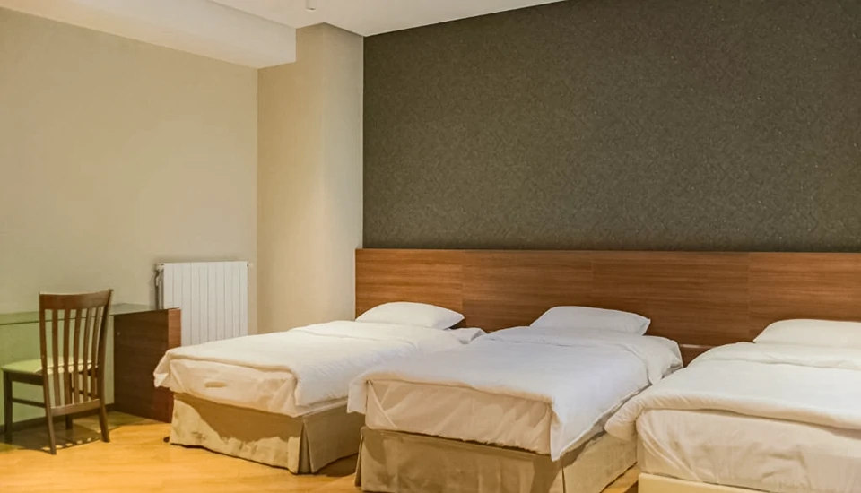 هتل نینا پالاس تفلیس